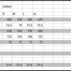 SÖRGEL CARBON / CAMPAGNOLO RECORD Rennrad, 6