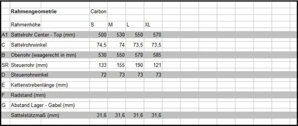 SÖRGEL CARBON / CAMPAGNOLO RECORD Rennrad, 3